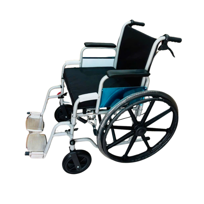 Xe Lăn Bánh Đúc Lucass X-39L